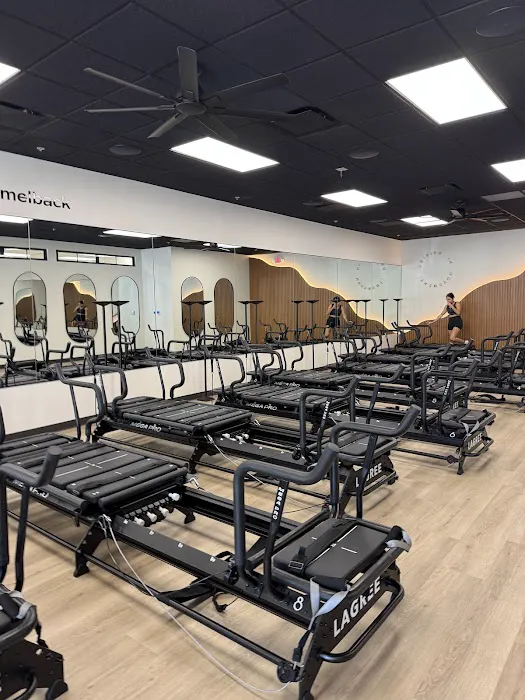 Body Politik Picture 6