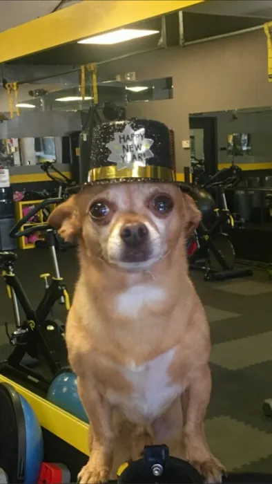 BlakSteel Fitness Picture 9