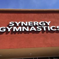 Synergy Gymnastics Academy ico