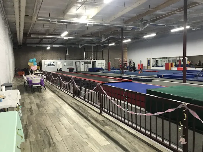 Synergy Gymnastics Academy Picture 2