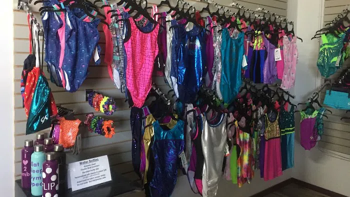 Synergy Gymnastics Academy Picture 3