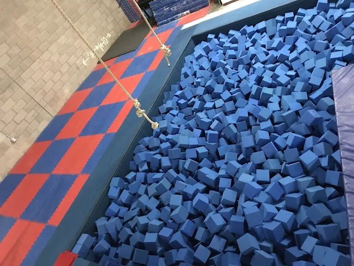 Synergy Gymnastics Academy Picture 6