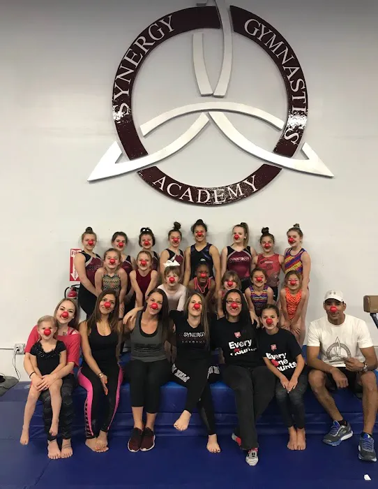Synergy Gymnastics Academy Picture 5