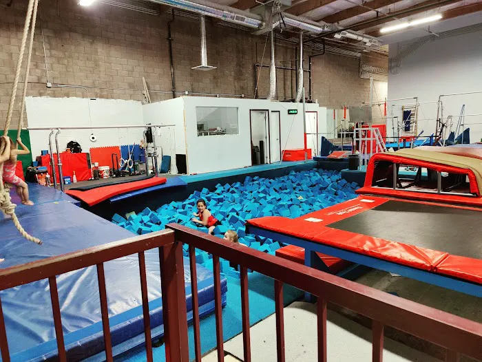 Synergy Gymnastics Academy Picture 4