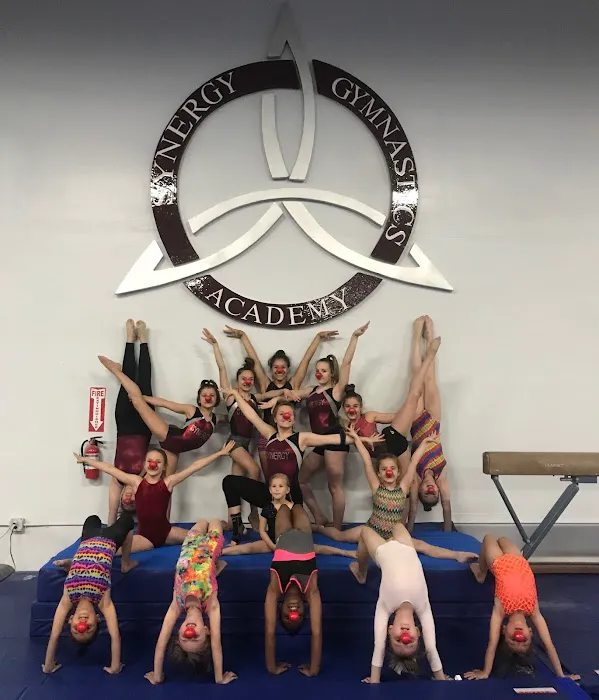 Synergy Gymnastics Academy Picture 10