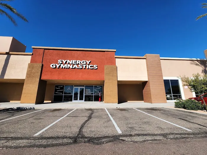 Synergy Gymnastics Academy Picture 8