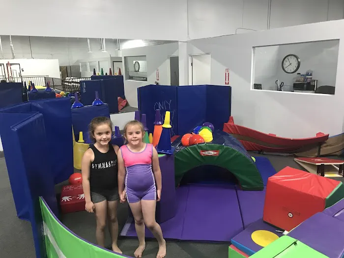 Synergy Gymnastics Academy Picture 9