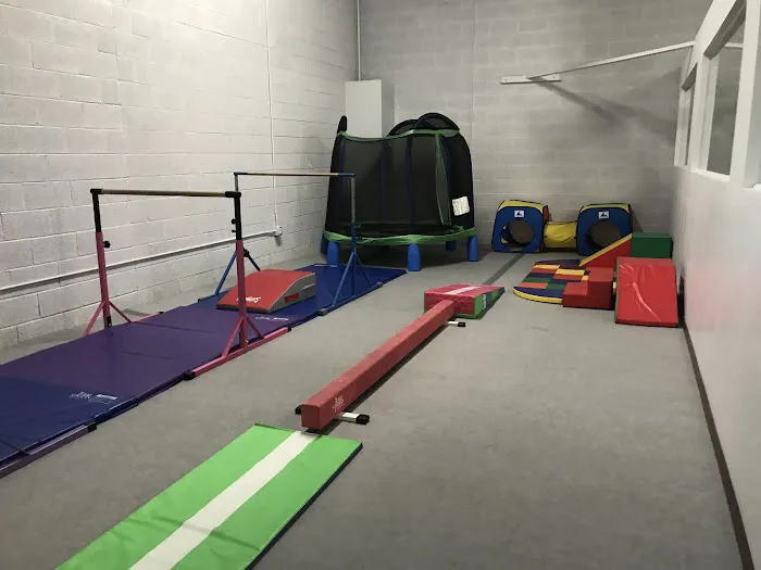 Synergy Gymnastics Academy Picture 7