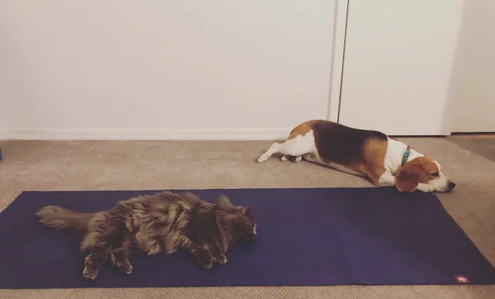 OM3 Yoga, LLC Picture 9