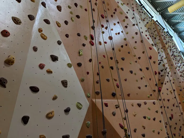 Ability360 Sports & Fitness Center Picture 8