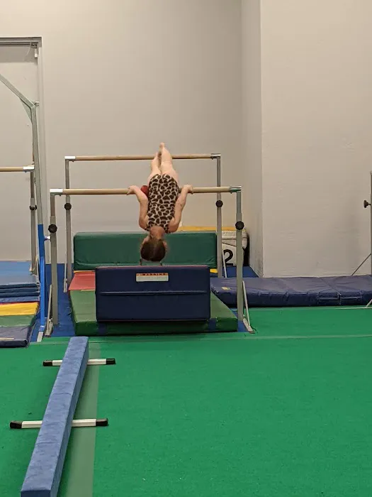 Rising Sky Gymnastics and Fitness Center - NW Phoenix Picture 1