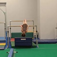 Rising Sky Gymnastics and Fitness Center - NW Phoenix ico