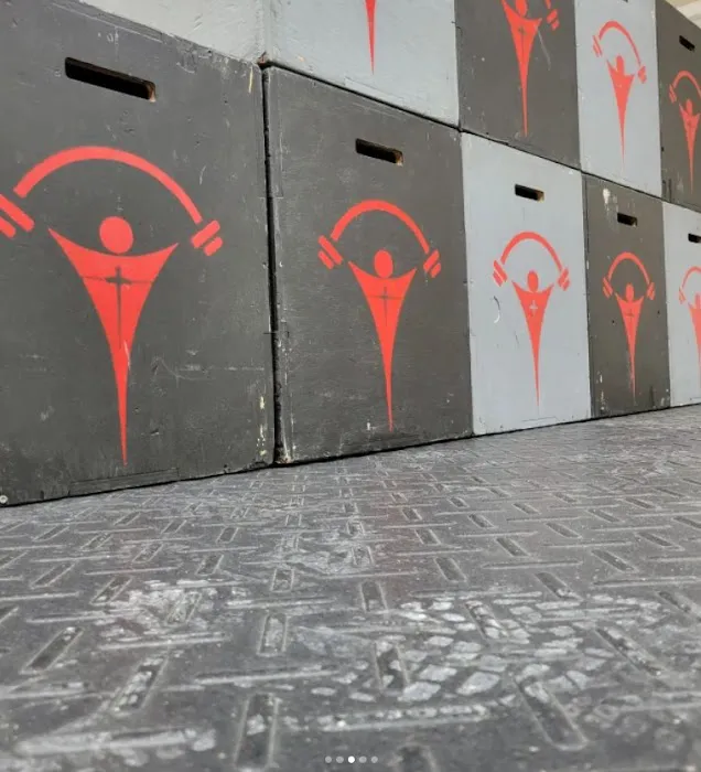 Trinity Fitness Phoenix Picture 8