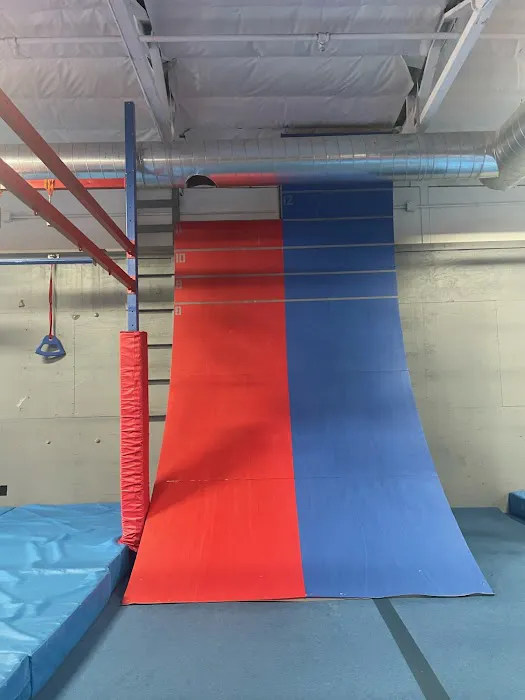 Conquer Ninja Gyms Peoria Picture 2