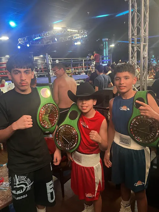 Caballero Boxing Picture 6