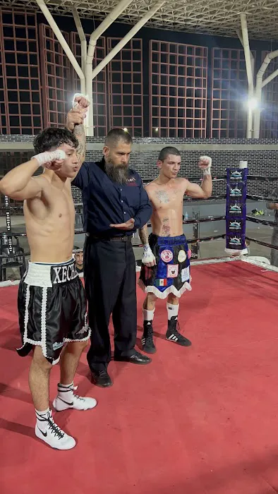 Caballero Boxing Picture 7