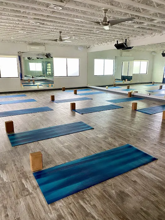 CA Yoga Barre Picture 5