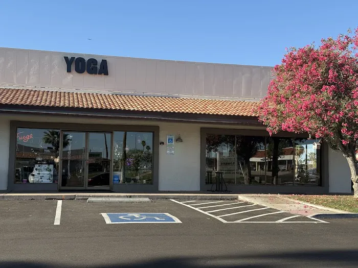 Hot Yoga University Picture 7