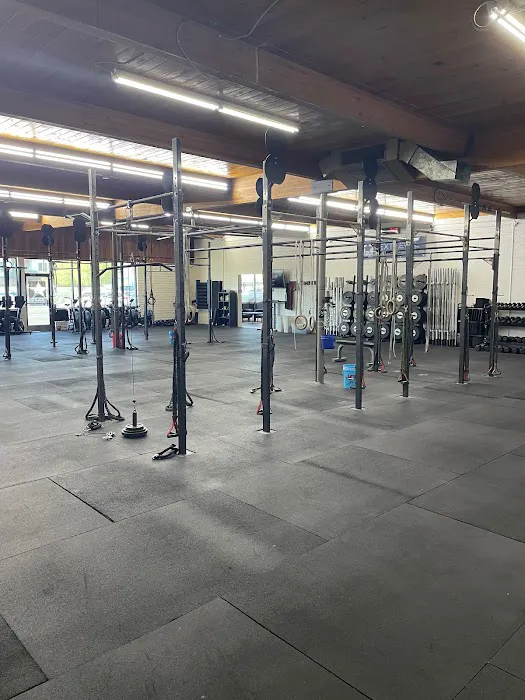 Next Level Fitness Picture 1