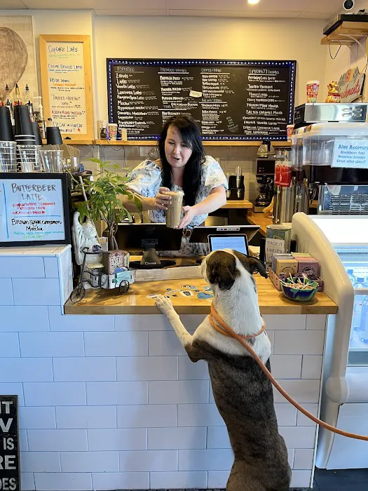 Blue Buddha Collective Picture 3