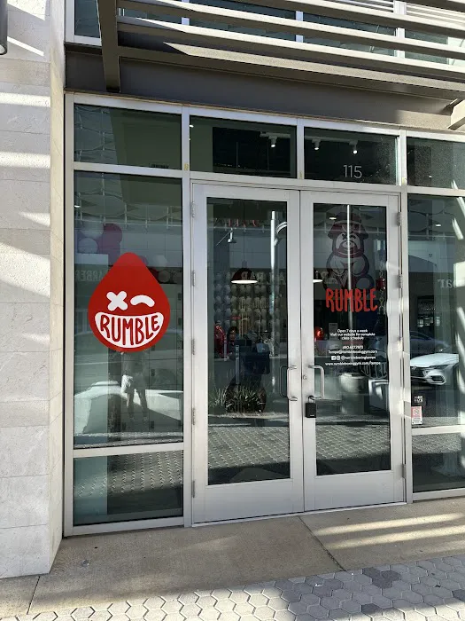 Rumble Boxing Picture 2