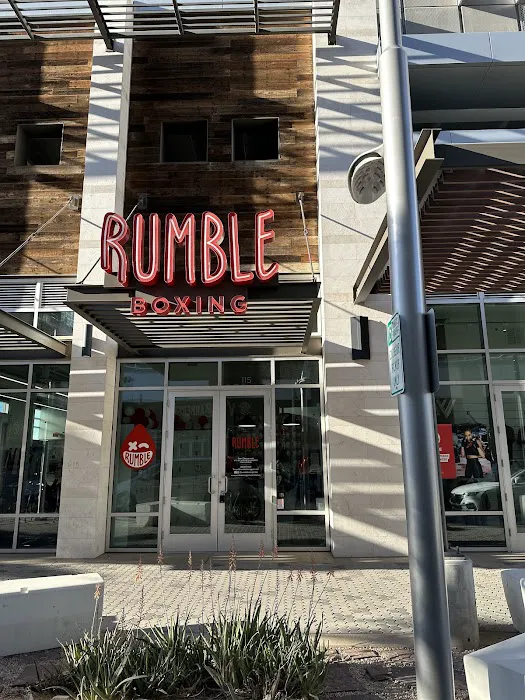 Rumble Boxing Picture 3