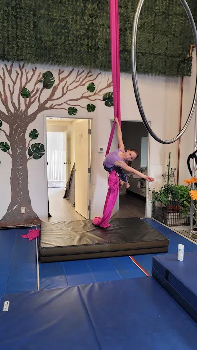 AeroTerra Arts Picture 1