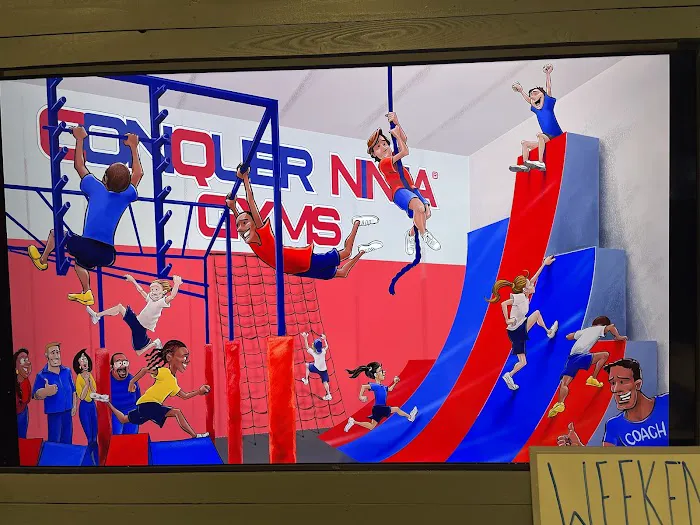 Conquer Ninja Gyms - Goodyear Picture 2