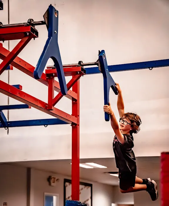 Conquer Ninja Gyms - Goodyear Picture 5