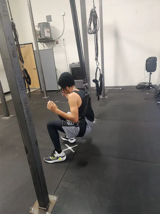 Fly Fit Bungee Phoenix Picture 1