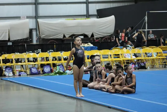Flames Gymnastics Academy Picture 5