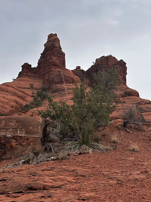 Body & Brain Yoga Tai Chi Picture 6