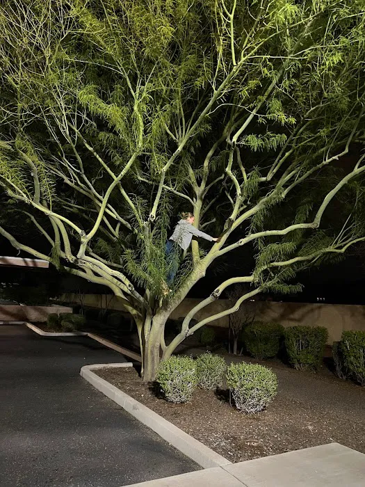 Positively Fitt, LLC Picture 6