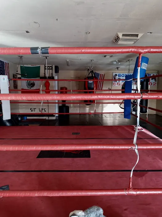 Boxing Club Desiderio Picture 4