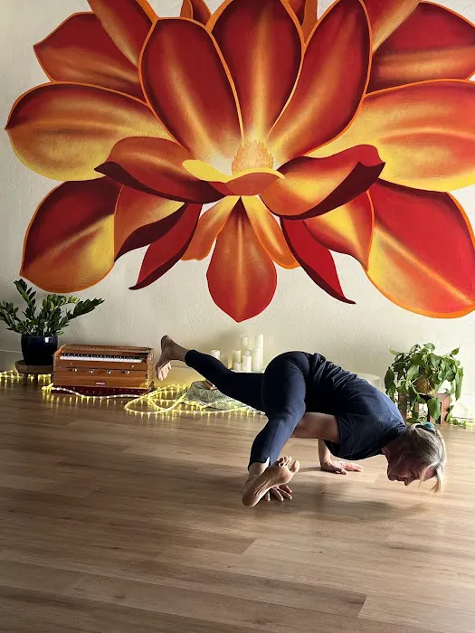 Community Yoga Picture 3