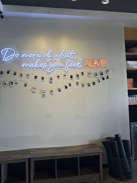 Body Alive Fitness Moon Valley Picture 7