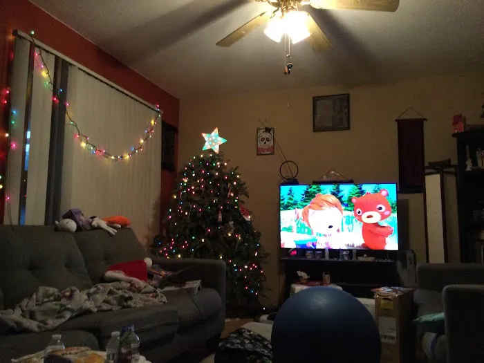 Lifestyle Pilates Picture 1