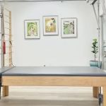 SVM Studios Pilates and the Gyrotonic Method