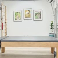 SVM Studios Pilates and the Gyrotonic Method ico