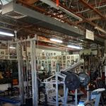 Thorbecke's Gym