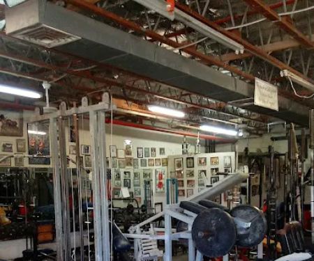 Thorbecke's Gym