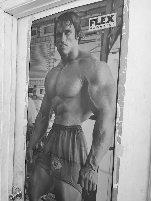 Thorbecke's Gym Picture 7