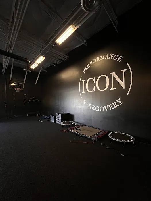 Icon Performance & Recovery Picture 3