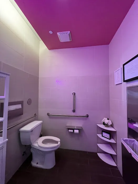 Icon Performance & Recovery Picture 4