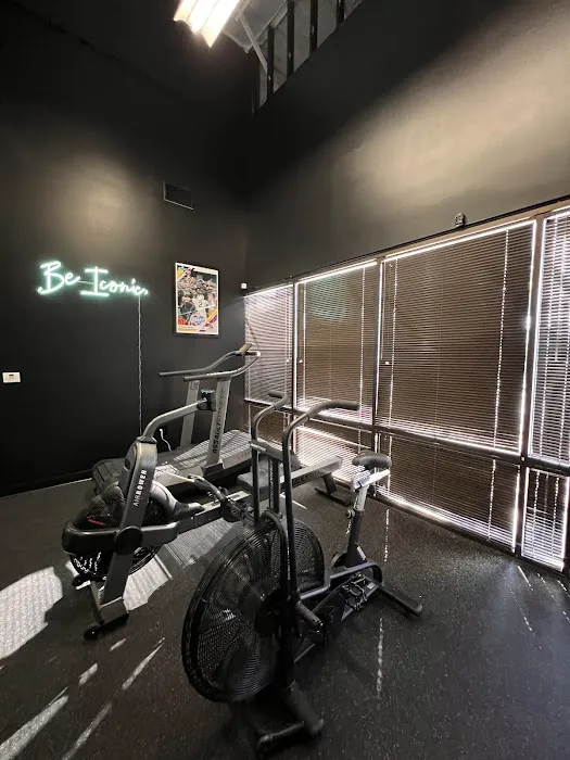 Icon Performance & Recovery Picture 8