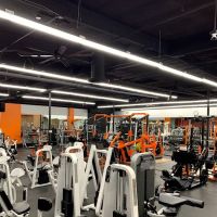 Muscle Factory Gym ico