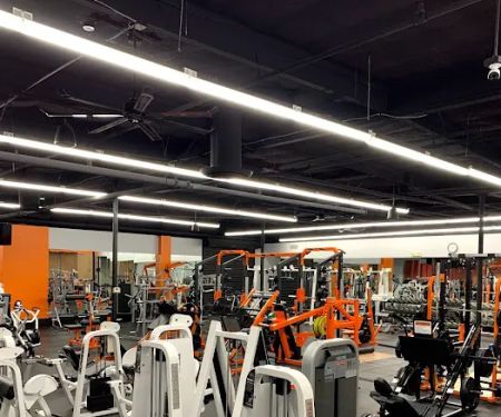 Muscle Factory Gym