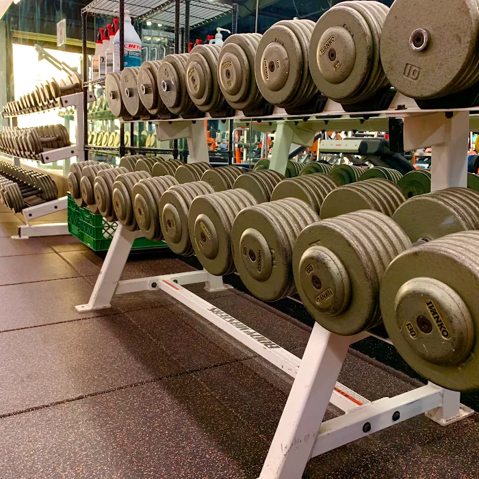 Muscle Factory Gym Picture 6