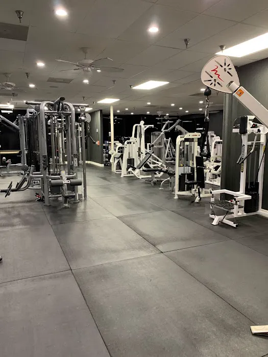 Muscle Factory Gym Picture 4