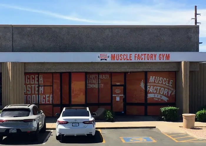Muscle Factory Gym Picture 8